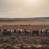 Agriculture vs Environnement : Quel danger pour nos espèces ?