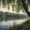 Alerte écologique : les eaux européennes en péril !