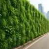 Mur végétal antibruit : silence naturel