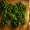 Mur végétal intérieur : bois et nature