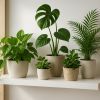 Plantes déco Ikea : nos coups de cœur verts