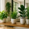 10 plantes déco pour sublimer votre intérieur