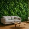 Plante murale : la touche verte tendance