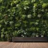 Découvrez comment créer un mur végétal pour terrasse